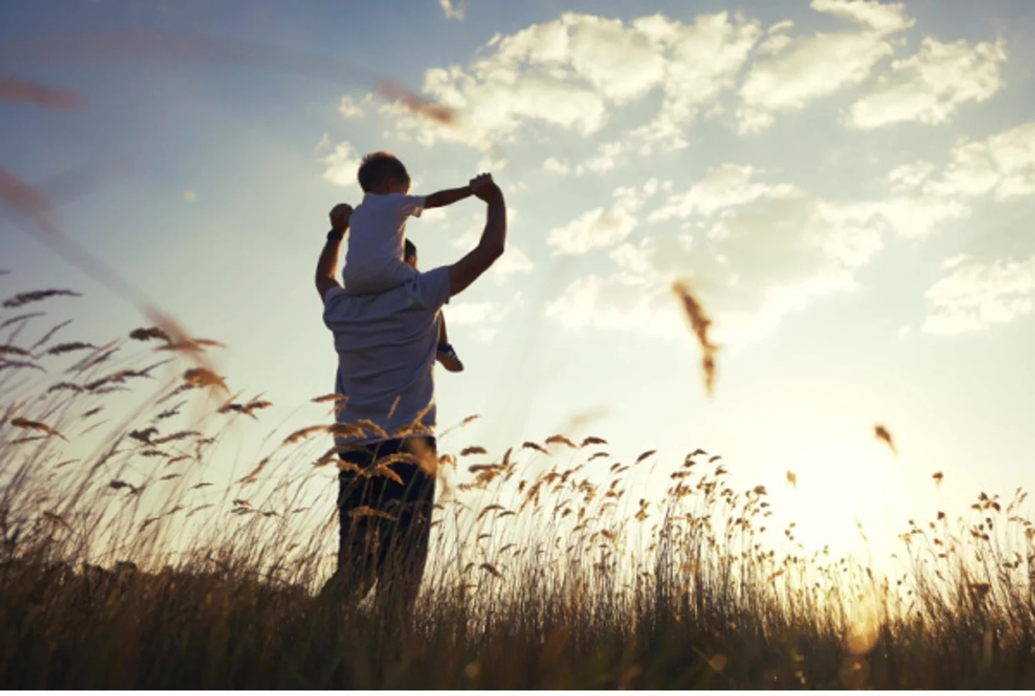 Father in recovery has sons on shoulders, walking through a sunlit field of wheat